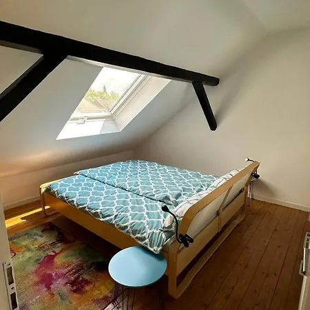 Lägenhet Frisch Renovierte Haldenblick Fuer 2-4 Personen, Zentral Gelegen *