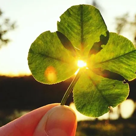Frisch Renovierte Haldenblick Fuer 2-4 Personen, Zentral Gelegen *