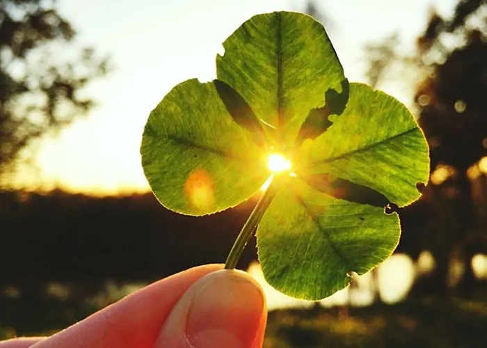 Frisch Renovierte Haldenblick Fuer 2-4 Personen, Zentral Gelegen *